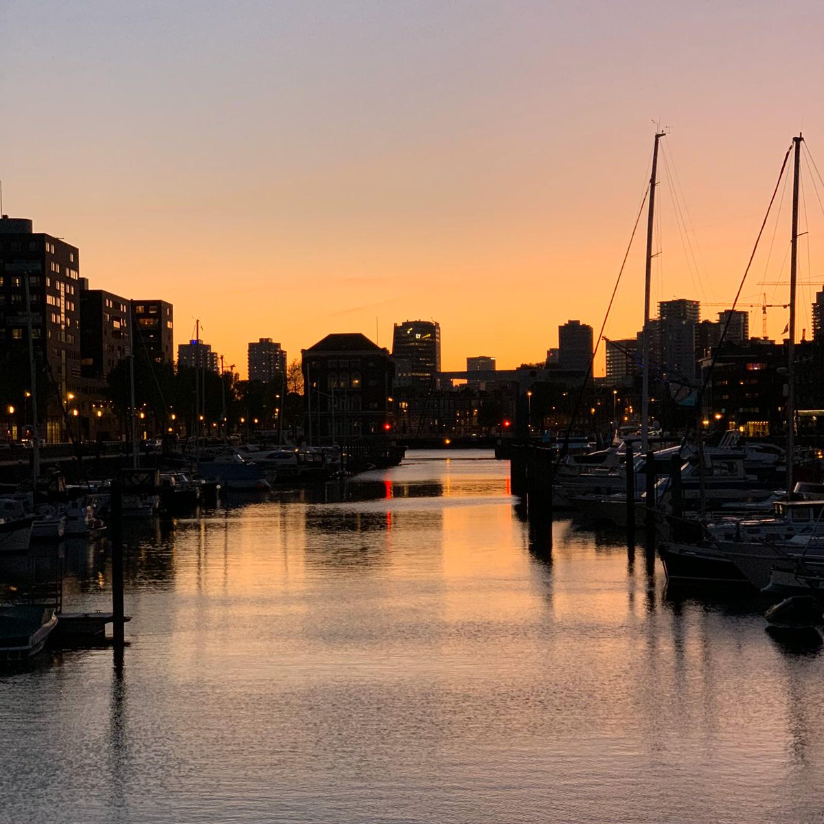 DAndScotl's tweet photo. #rotterdam @rotterdam @Rotterdamevents #entrepothaven
My friend's beautiful pic. Taken yesterday evening while out for an evening cycle in #Rotterdam https://t.co/0xKX9VjQ2z