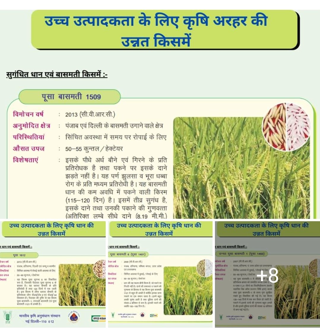 iffcokisan's tweet photo. उच्च उत्पादकता एवं लाभ हेतु उन्नत कृषि प्रौद्योगिकियाँ
सुगंधित धान एवं बासमती किसमें :-
Technological Options for Enhanced Productivity and Profit
#rice #EnhancedRice #IFFCO #IffcoAndKisan #IffcoForKisan #ricefarming #riceseeds #BestRiceSeeds
👇👇👇
https://t.co/XBcoU6gkz0 https://t.co/QUXwAPFUJ2