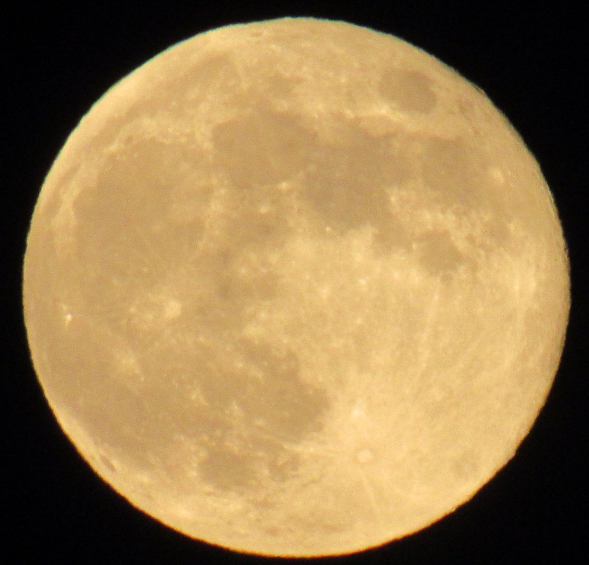 Flower Moon (Super Moon) over Belfast last night.