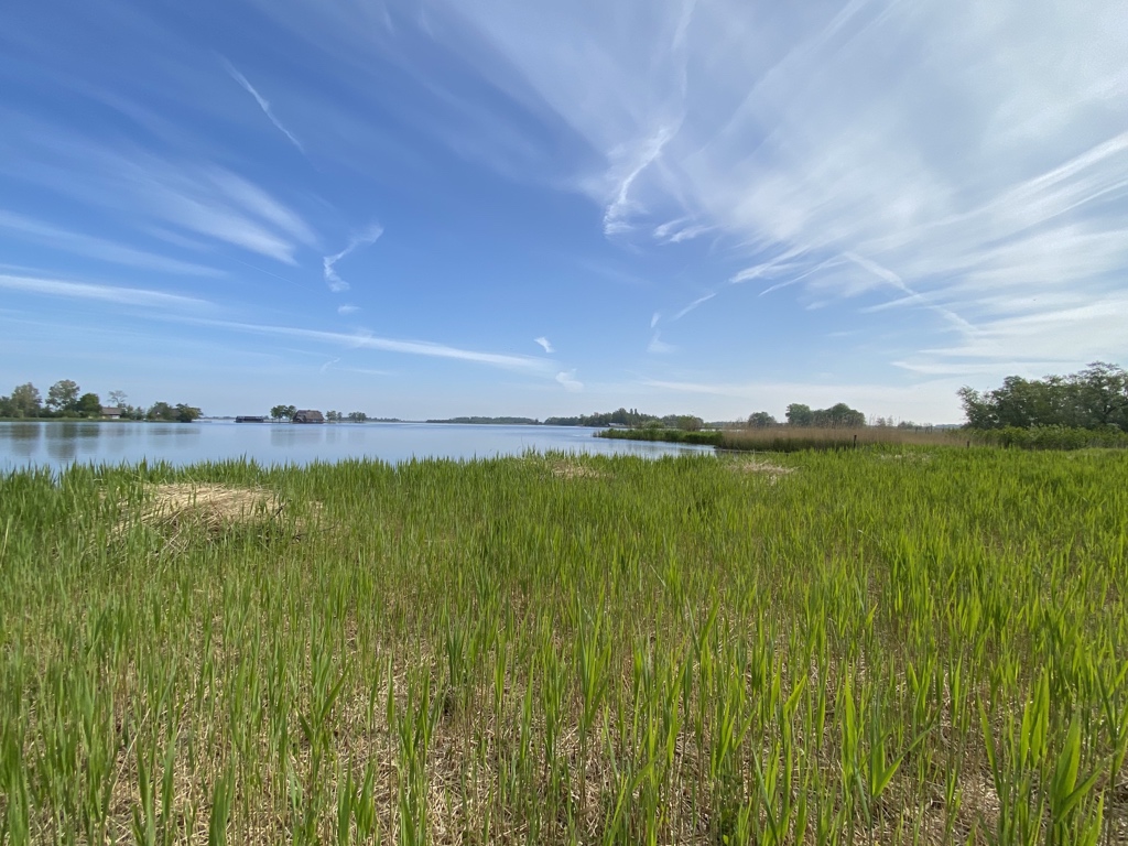 robbertd's tweet image. De Weerribben-Wieden National Park, The Netherlands