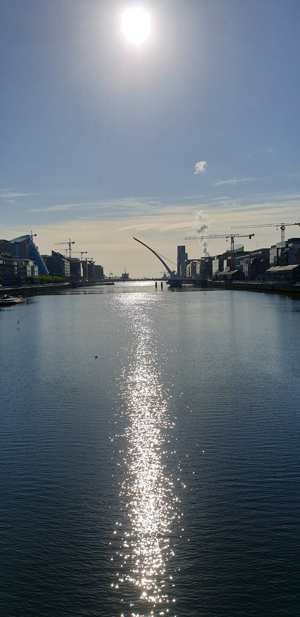 graceduffy0's tweet photo. Morning stroll in a much less hectic Dublin #walkingthroughthecrisis #photochallence @MaryLizTrant1 https://t.co/RjT73ZGRUc