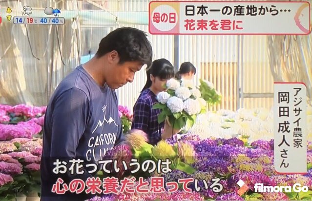 渥美半島観光ビューロー 日本一の花を作ってます 道の駅で田原市の花をネット販売 T Co D3kiwkuxbx 愛知県田原市 鉢花 切り花 道の駅 通販 めっくんはうす ロコステーション 岡田緑花 カーネーション 紫陽花 アジサイ 渥美半島観光ビューロー 日本一の花を作ってます 道の駅で田原市の花をネット販売 T Co D3kiwkuxbx 愛知県田原市 鉢花 切り花 道の駅 通販 めっくんはうす ロコステーション 岡田緑花 カーネーション 紫陽花 アジサイ
