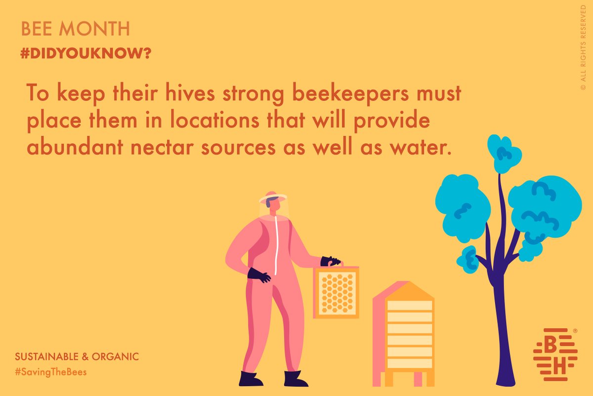 BeehivelyG's tweet photo. May is the month of bees and every year thousands of people around the world thank bees for the work they do for us. Follow our tips and commit to take care of the bees.
#Beehively
#HoneyBees
#Honey
#BeeFacts
#Bees
#FridayFacts
#beeday
#Beemonth
#beehivelybees #beehivelygroup https://t.co/hf3gLAQIqW