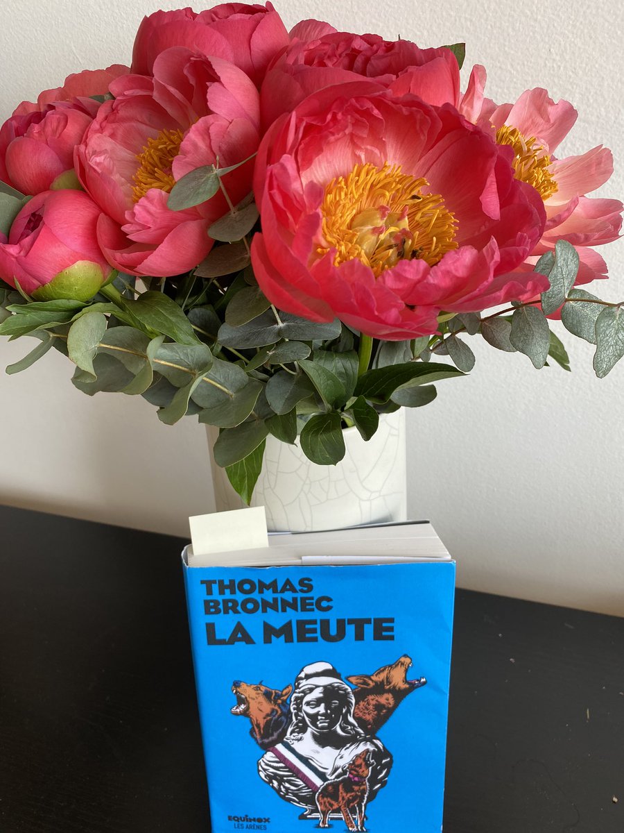 HaussAlis1's tweet photo. #VendrediLecture - La Meute. Un livre très prenant, une fresque politique. Le retour d’un ancien président qui ne veut pas raccrocher qui s’oppose à une jeune femme bien plus jeune que lui. Deux visions de la gauche. Et on y parle beaucoup de Twitter 🙂 https://t.co/UoQ8xEgMNH