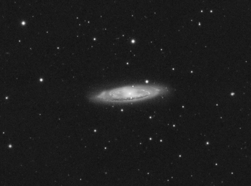 MR_IR_AP's tweet photo. Last galaxy of the Leo Triplet galaxies - Messier 65.
Subs:
L: 566x20sec
Gain: 30
Telescope: SkyWatcher ED80/600
Camera: ZWO ASI120mm
Filters: Baader L
-
#messier65 #galaxy #leotriplet #deepsky #Astrophotography #astronomy #astro #space #universe #skywatcher #zwocameras #baader https://t.co/i2aHTN0WHQ