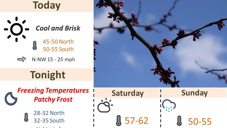 QCAtraffic's tweet photo. Rick's Six: Freeze warning, Q-C businesses reopening, changing I-74 traffic patterns, and what's going up https://t.co/Js7C2Klwwb https://t.co/sfk3m04pQo