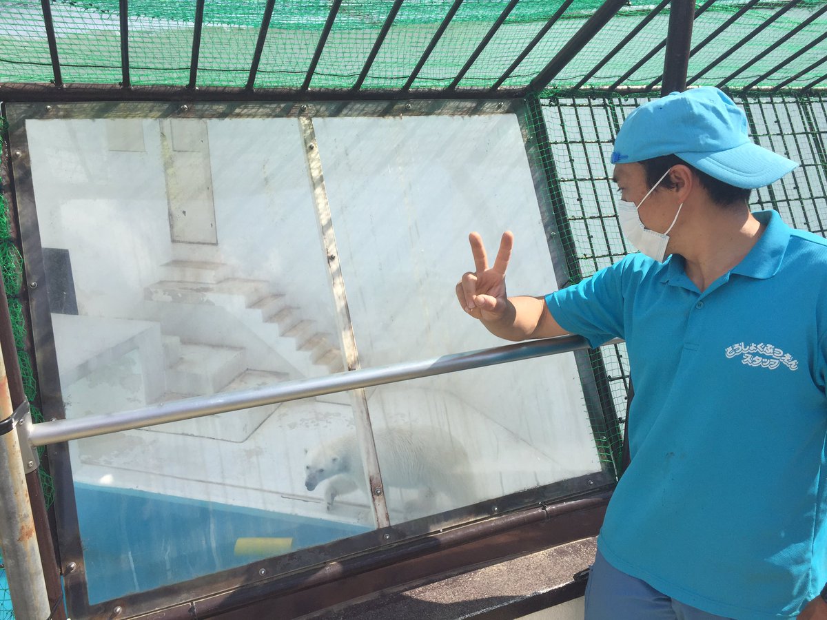 熊本市動植物園 公式 本日 ホッキョクグマのマルルのファンの方から担当者にマスクをいただきました 健康に気をつけてマルルがさらに生き生きとできるよう頑張っていきます Kumamoto Zoo Channel ホッキョクグマのためにできること T Co