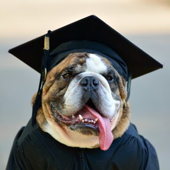 CentralBulldog's tweet photo. Today is YOUR day Class of 2020!

👏🏿🎉🎓👏🏿🎉👏🏿🎓👏🏿🎉🎓👏🏿

Post one of your senior photos and tag us! We are so very proud of each and everyone of you! We want to celebrate YOU all day!!

#CHSVirtualSpiritWeek #CHSVirtualSpiritDay https://t.co/NJ3Dc269Ce