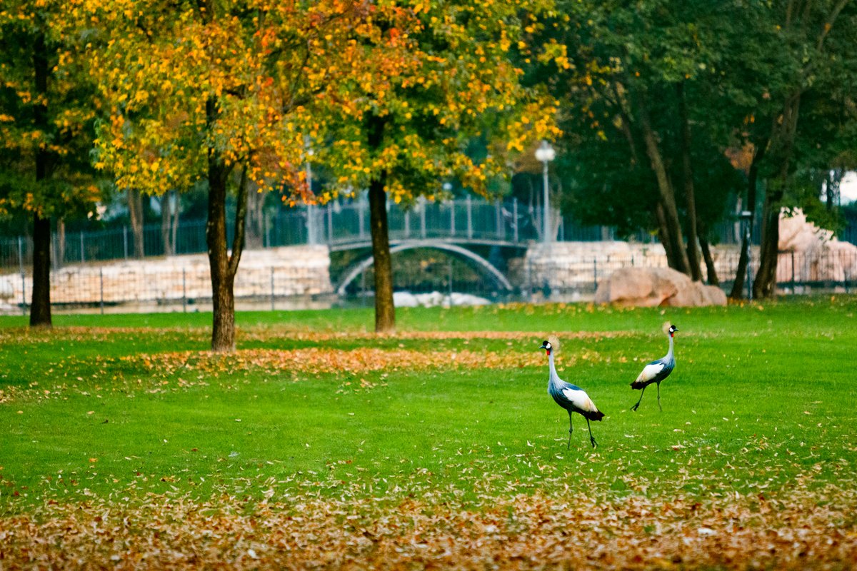 RAASM S.p.A. tweet media