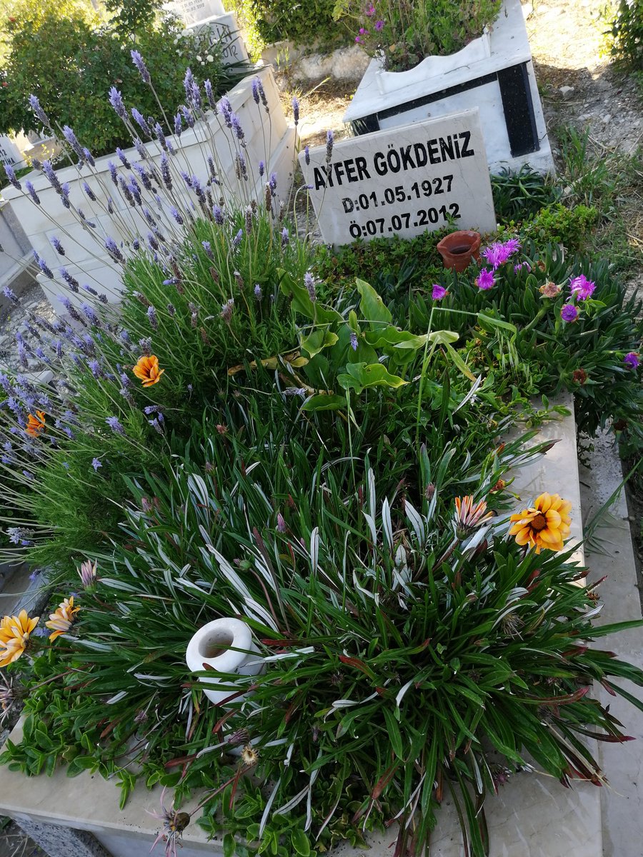 Annem anneler günün kutlu olsun...aneannem seninde anneler günün kutlu olsun sizi seviyorum