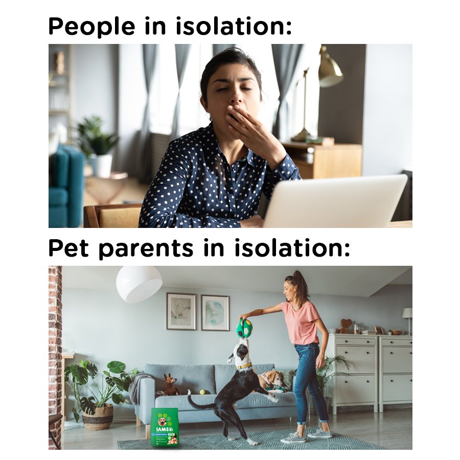 IndiaIams's tweet photo. In these times of self-isolation and social distancing, thereโs one way to beat the boredom. Cuddle up with your furry and let them cheer you up. Retweet and tag your friends who are enjoying this time with their pups.
#IAMS #IAMSWhoIAM #TailoredNutrition #UniqueBest https://t.co/Cd2ktFTn0J