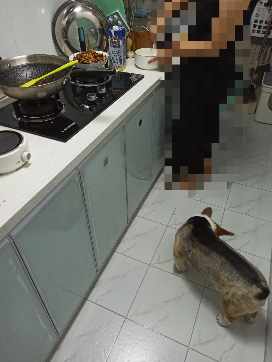 BWBULL3's tweet photo. Taking a break ~ it's my birthday tomorrow and this #BWC slut came over to cook and make me a cake ~ back in a few, reply to DM's then #WMAF https://t.co/30uNT3DPLK