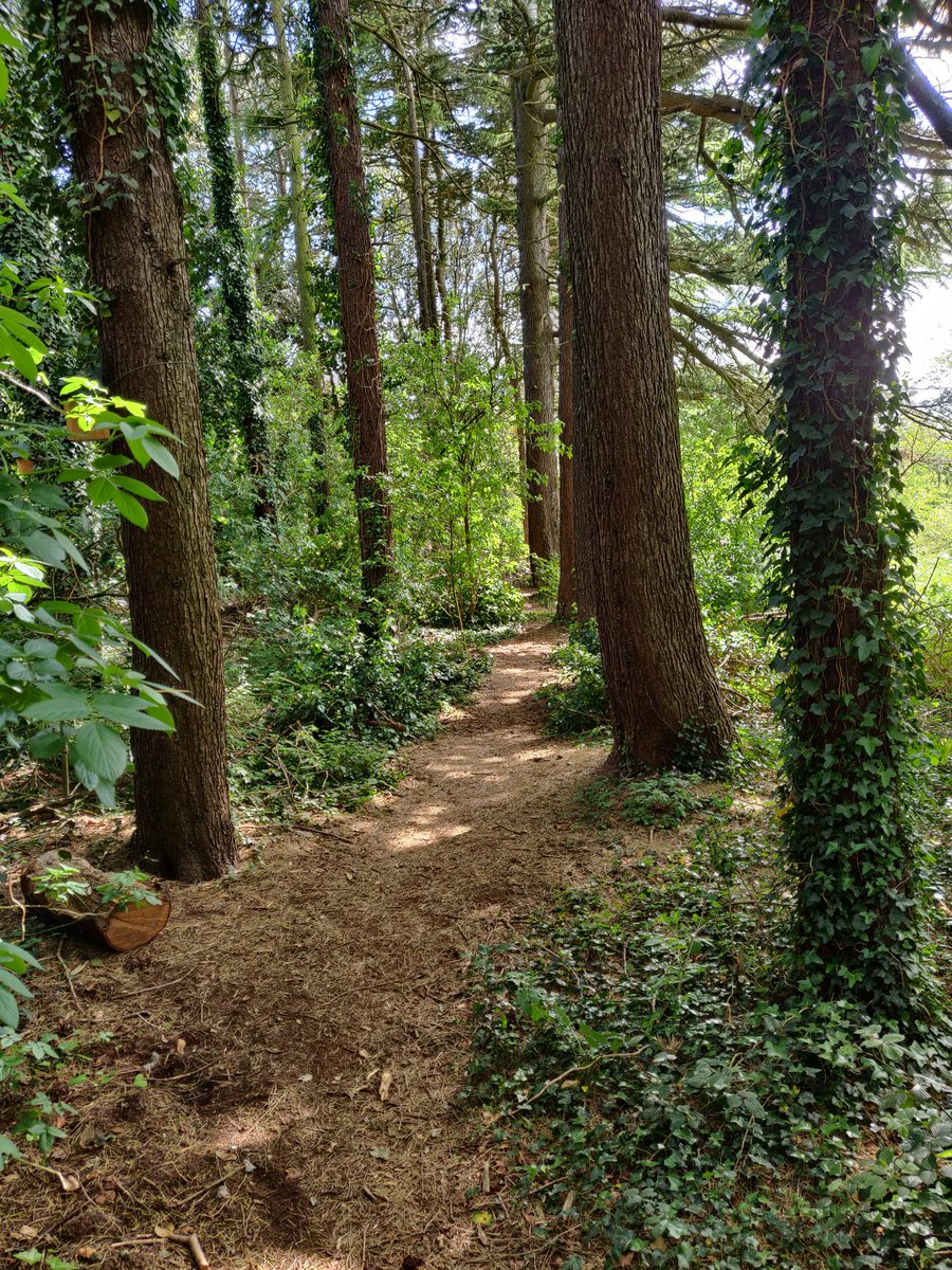 Chris Brignell (@cbrignell) on Twitter photo The beautiful woodland on our campus during #lockdown. Happy VE Day everyone. @UoNNatSci <a href="/UoNMaths/">Nottingham Maths</a> <a href="/UoNScience/">UoN Science</a> The beautiful woodland on our campus during #lockdown. Happy VE Day everyone. @UoNNatSci <a href="/UoNMaths/">Nottingham Maths</a> <a href="/UoNScience/">UoN Science</a>