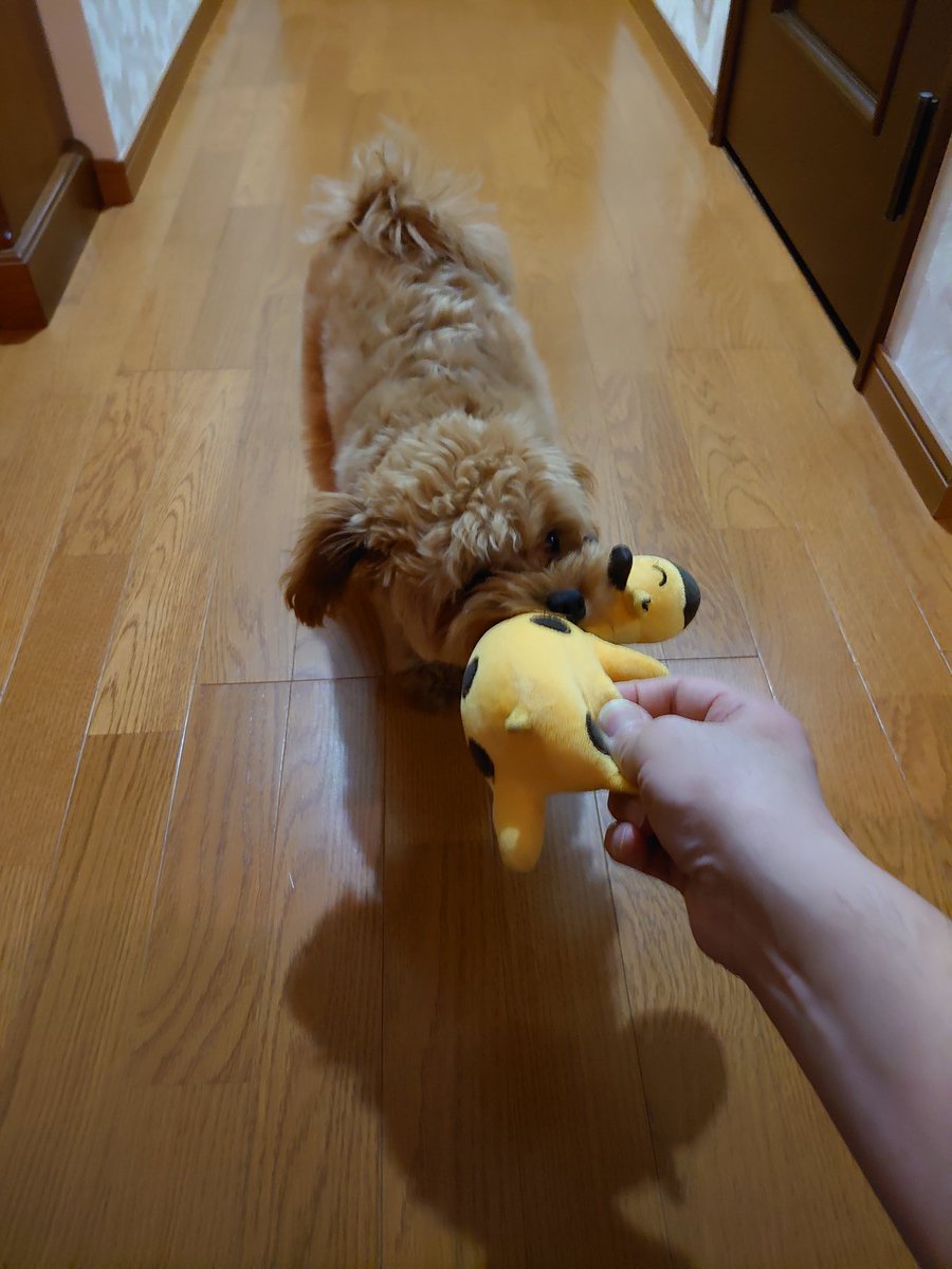 独身50代とも 6qfnnmuqxsqbjrx Twitter