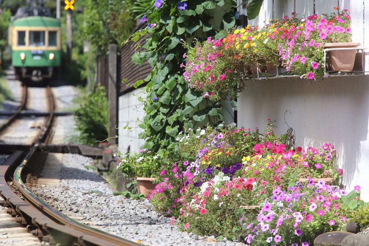 If we must have urban trains make them slow and line the railway with an abundance of flowers and greenery to make it a new and charming experience every day, every season. #TrainTwitter