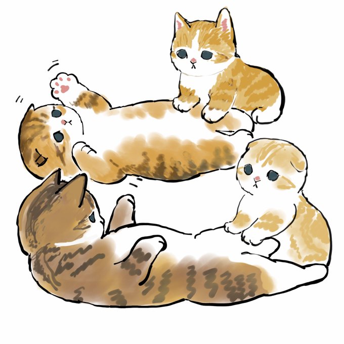「三毛猫」のTwitter画像/イラスト(新着｜RT&Fav:50)｜12ページ目