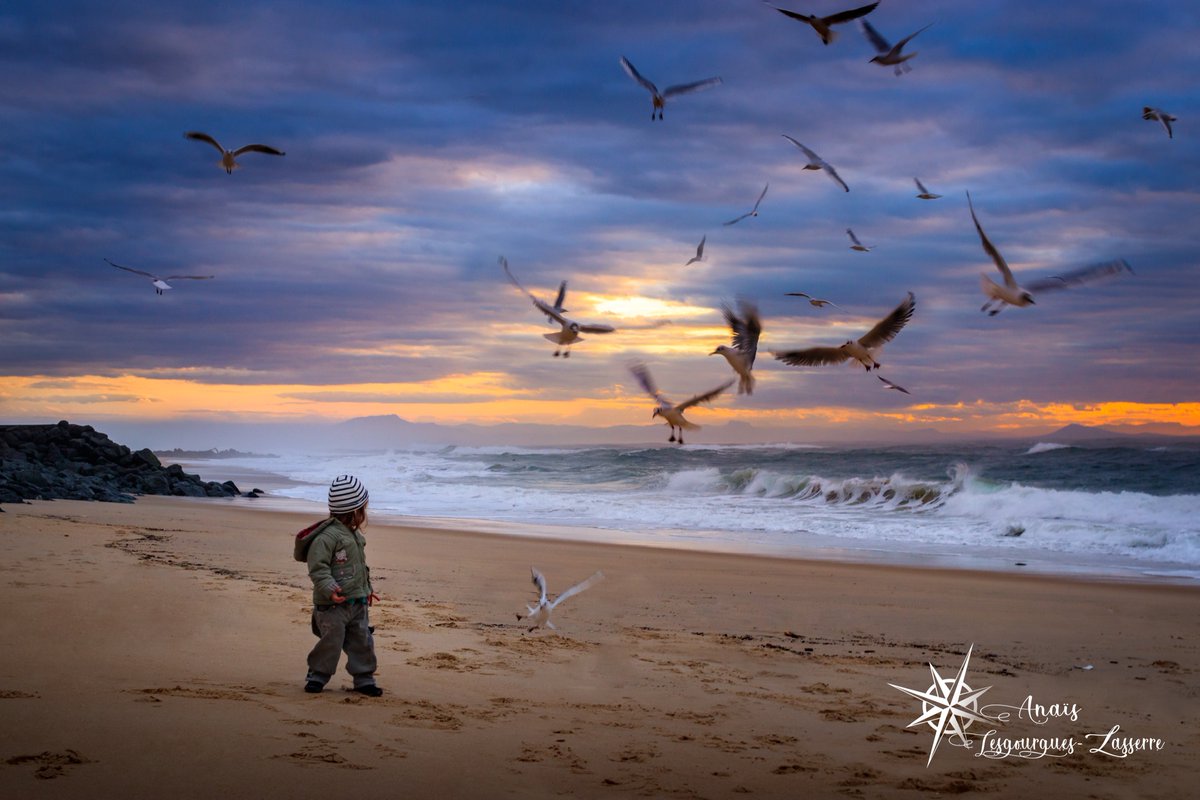 AnaisLesgLass's tweet photo. La fille qui murmurait à l'estomac des oiseaux...
#Landes #aquitaine #doudou #goele #Capbreton #leslandes #empara #leroutard #Plage #coucherdesoleil #oiseaux #mouettes #sunset #sea #ocean #landscape #photography #landscapephotography #seabird https://t.co/RAnZonwrMd