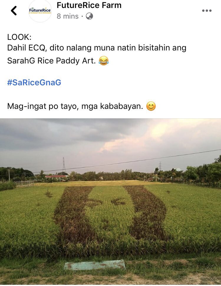 PopstersSarahG's tweet photo. SarahG Rice Paddy Art made by our kababayans from @FutureRiceFarm 
Thank you po for this amazing art..🙏❤️
#SaRiceGnaG
#SarahGeronimo 

@JustSarahG @VivaArtists @ABSCBNNews @mateoguidicelli https://t.co/CNgHPbvx2e