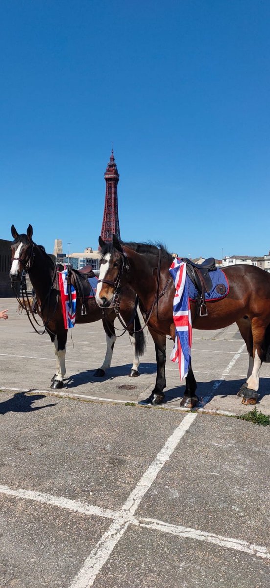 Poppy and Barley are on patrol in Blackpool today trying to make sure people adhere to Government guidelines. We know it’s hard but please only essential travel. #stayhomesaveslives  #protectthenhs 🌈🌈