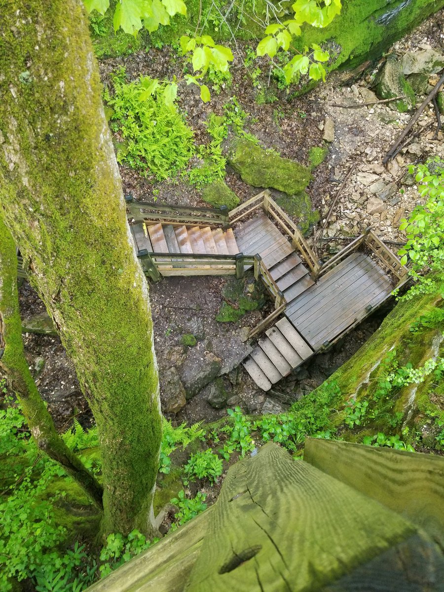 CoachCrowPE's tweet photo. Explored a bit of Devil's Ice Box at Rock Bridge State Park this morning. https://t.co/WyhQ9xZIkr