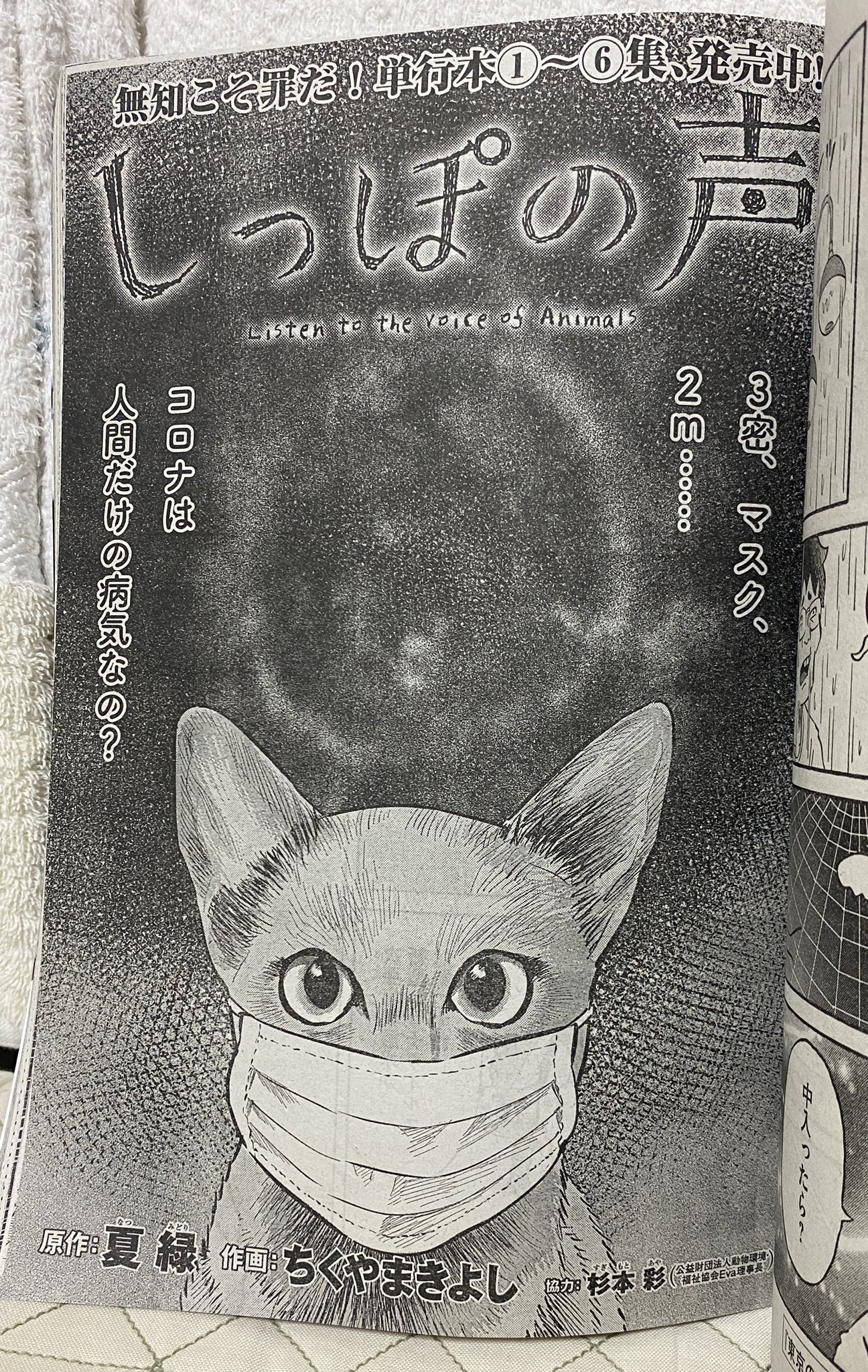 表智之 ビッグコミックオリジナル10号 5 2発売号 掲載の原作 夏緑 作画 ちくやまきよし 協力 杉本彩 しっぽの声 が獣医療の視点からコロナ禍を描いている しかも パンデミック下のトリアージや 感染源をめぐるデマやパニックなど 大変重いテーマにも