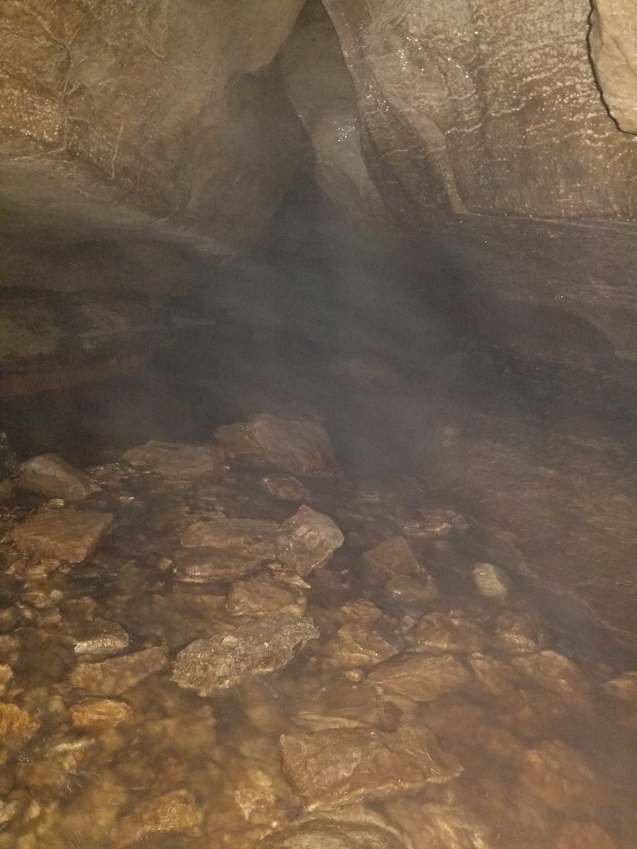 CoachCrowPE's tweet photo. Explored a bit of Devil's Ice Box at Rock Bridge State Park this morning. https://t.co/WyhQ9xZIkr