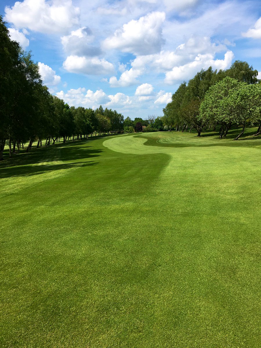 mattwhiting31's tweet photo. All that’s missing is the golfers ☀️⛳️#greenkeeping #golfcourse https://t.co/aOKVxVFpKn