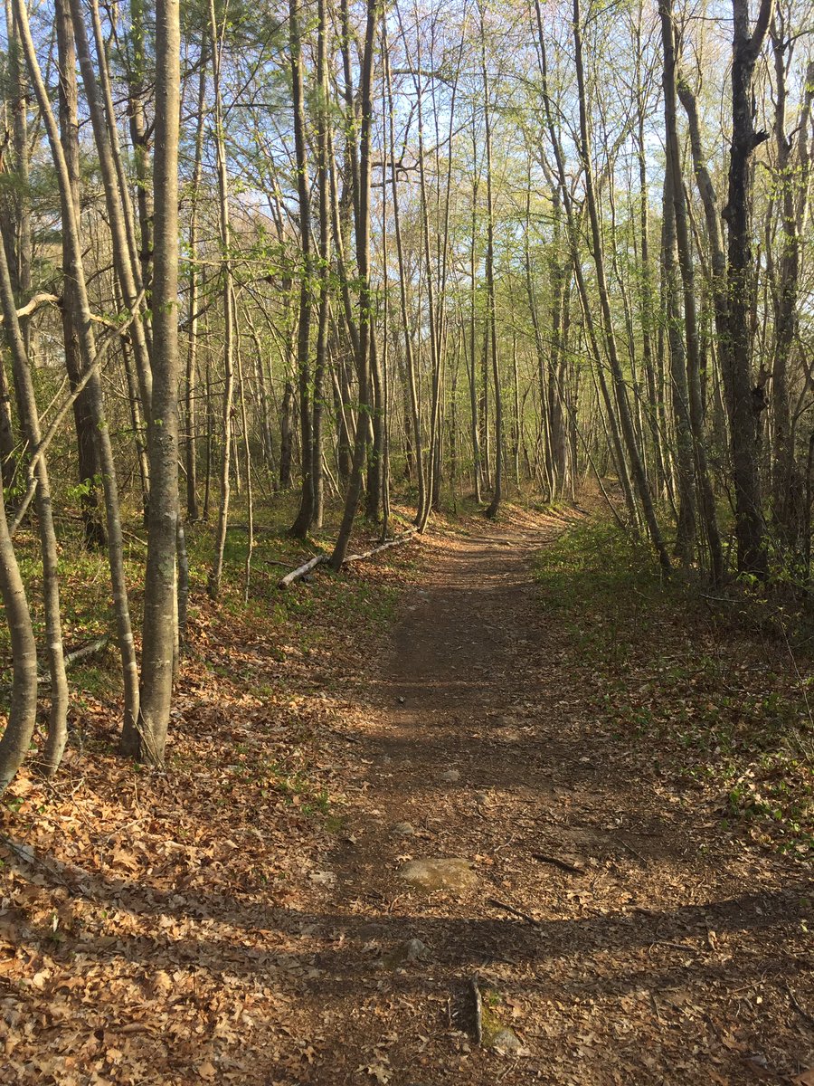 WHSPE3's tweet photo. Town Forest this morning. So lucky to have in our town#getworkdone
#getouttoday https://t.co/V33ryD0BiY
