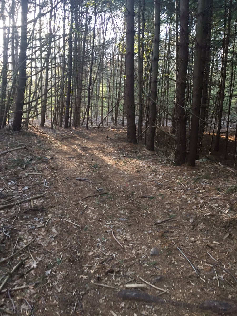 WHSPE3's tweet photo. Town Forest this morning. So lucky to have in our town#getworkdone
#getouttoday https://t.co/V33ryD0BiY