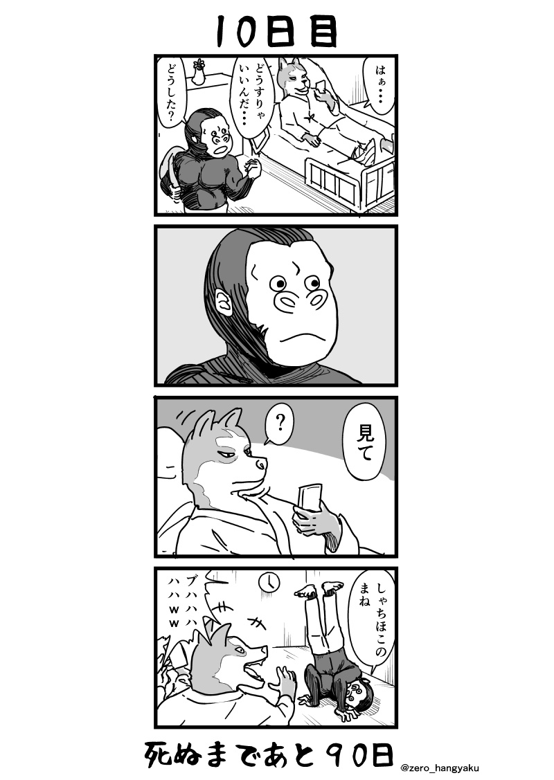 「100日後に死ぬゴリラ」
10日目 