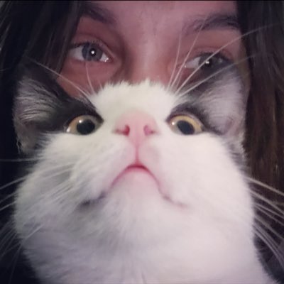 lety_cha's tweet photo. #Bbchat #PetitMuf. #Simbouille. #funnycat. #Love. #socut. #Petitcoeur. https://t.co/0RKyOkhbIZ