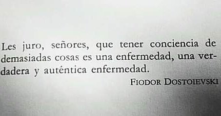 literlandweb1's tweet photo. https://t.co/srCS7mKJvi