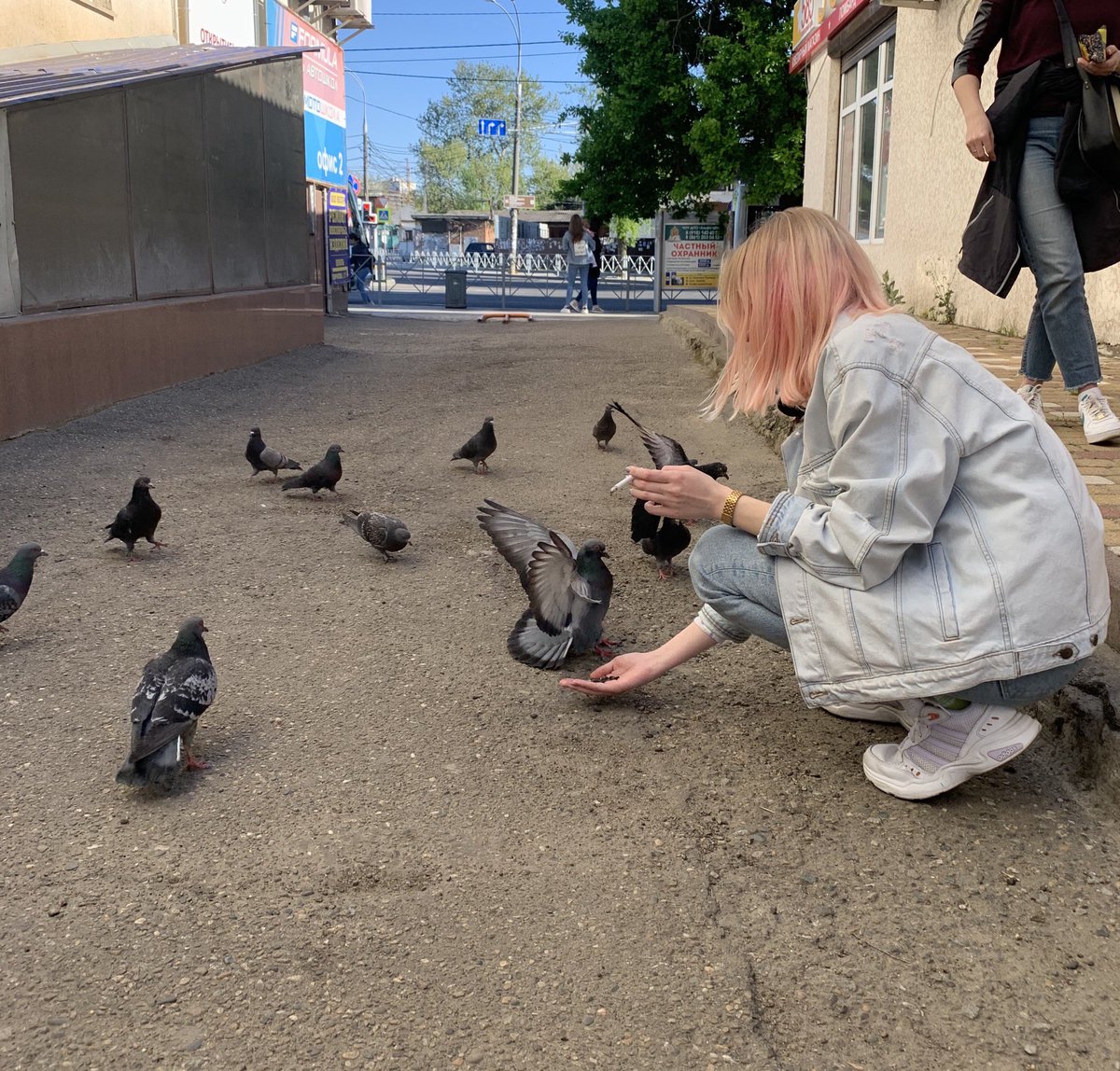 Роман (@solomidinvokeer) on Twitter photo 