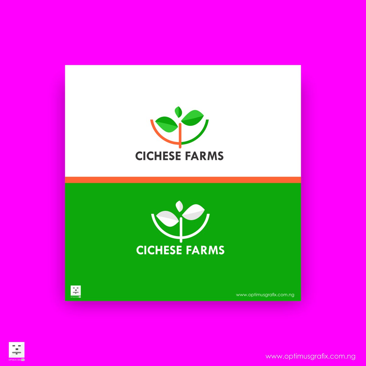 OptimusGrafix's tweet photo. Logo design for an agri-business located in Nigeria.
Client: Cichese Farms

Order online  via our website https://t.co/3tvgCcttdA
Chat with us on WhatsApp: 09029160352
.
.
.
.
.
 #logodesignerlagos #graphicdesignersinlagos #eventriga #OptimusGrafix #OptimusGrafixNG https://t.co/5M2Ctjy2aU