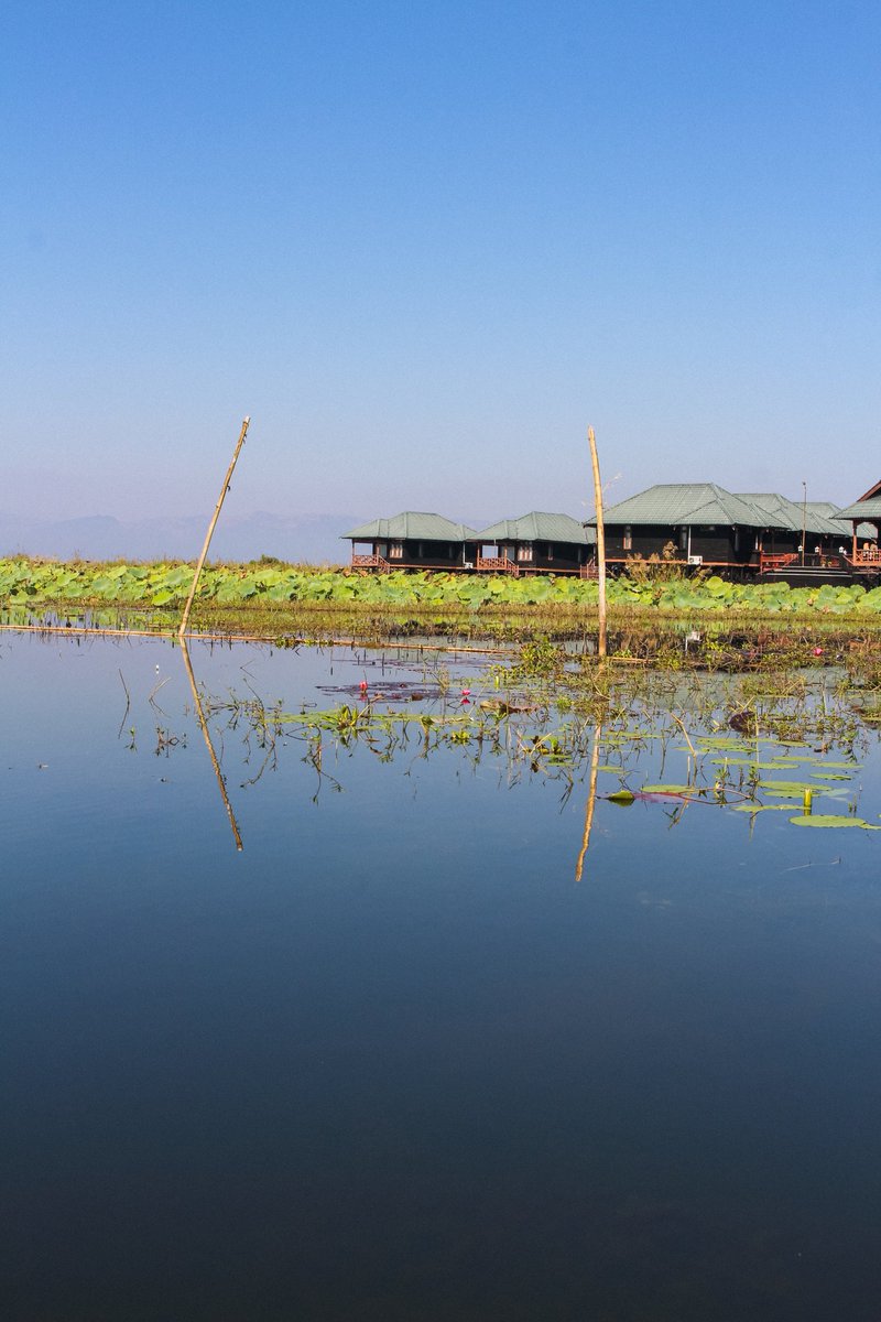 Serenity_Inle's tweet photo. 💟 Grab your favourite book 📑 and get lost in the right direction. 🏞️🚥
#covidkindness #tillwemeetagain
.
.
📸: @sofiaferreirinho
.
.
.
.
#stayhomesavelife #staypositive💯  #goodvibesonly #myanmar🇲🇲 #InleLake #soulhealing #nostalgic #inlenostalgia #postcovidhope #inthistogether https://t.co/iaaS4no1GV