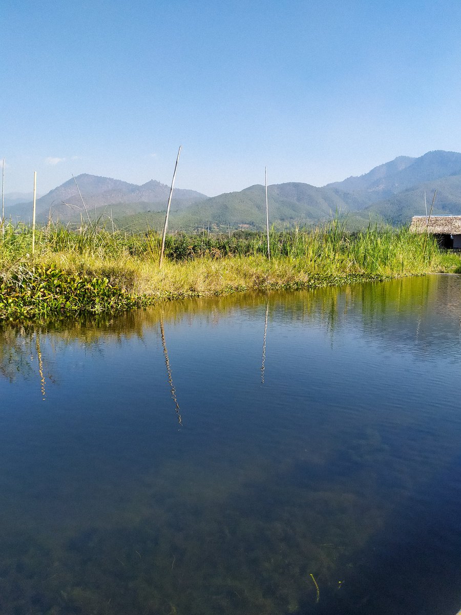 Serenity_Inle's tweet photo. 💟 Grab your favourite book 📑 and get lost in the right direction. 🏞️🚥
#covidkindness #tillwemeetagain
.
.
📸: @sofiaferreirinho
.
.
.
.
#stayhomesavelife #staypositive💯  #goodvibesonly #myanmar🇲🇲 #InleLake #soulhealing #nostalgic #inlenostalgia #postcovidhope #inthistogether https://t.co/iaaS4no1GV