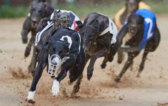 Marantec Company Group tweet media