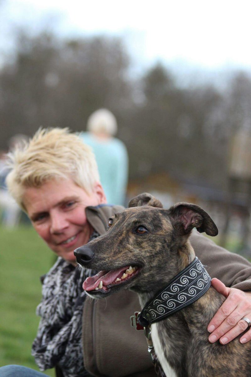 Marantec Company Group tweet media