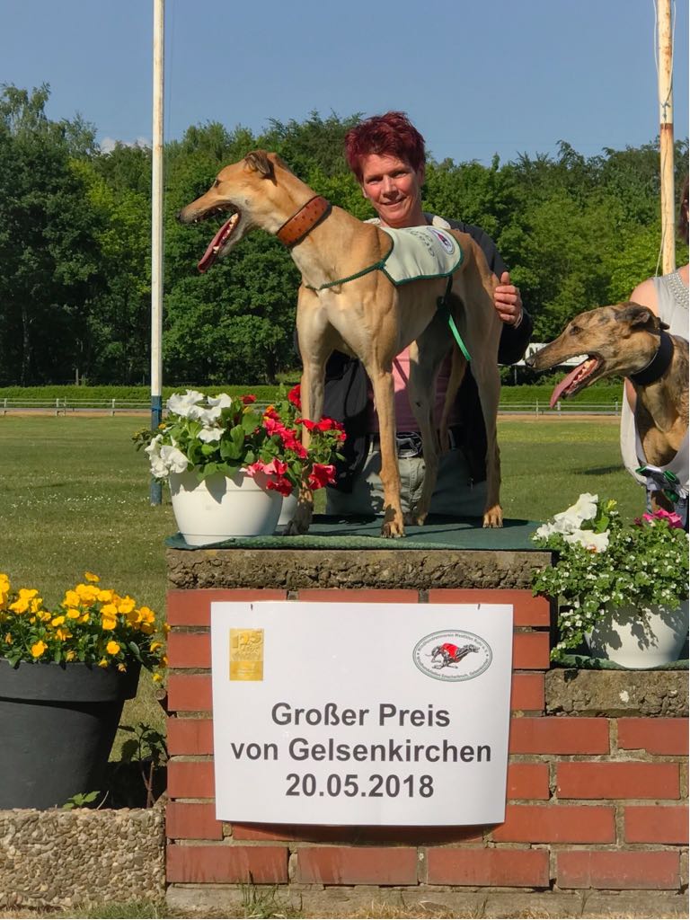 Marantec Company Group tweet media