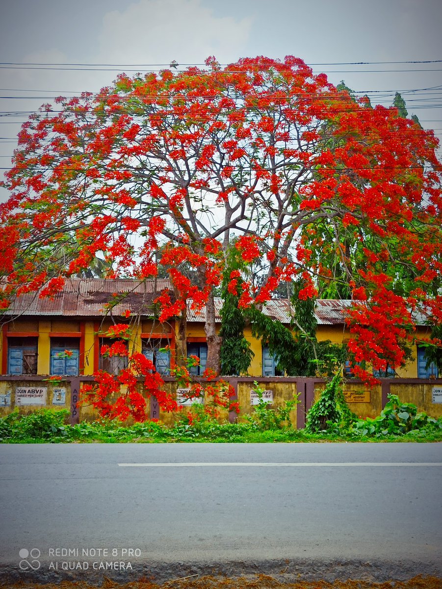 RonakSur's tweet image. #outsideview 
#myschoolmypride