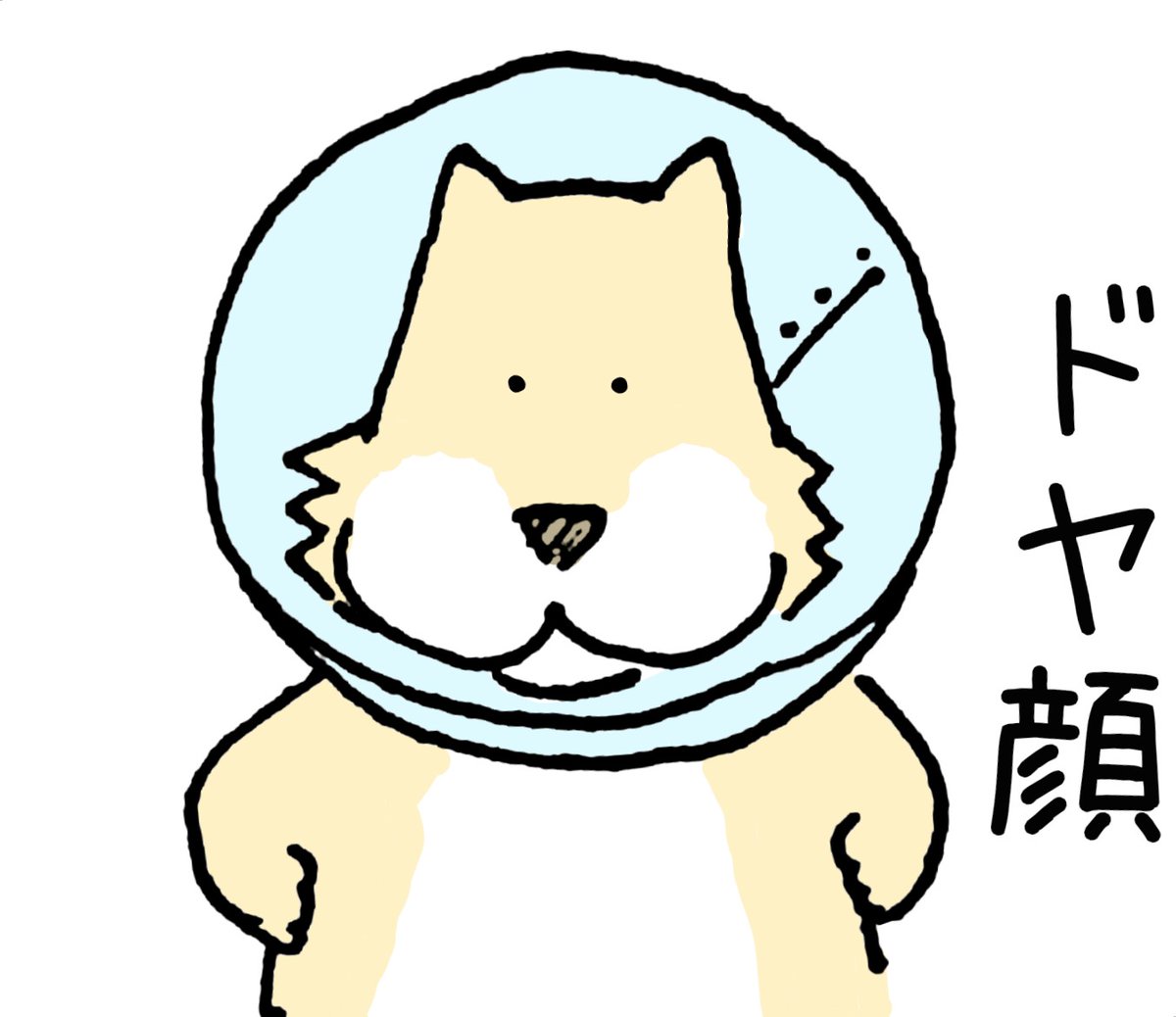 えすえふ スタンプ第３弾できたんですよ Lineスタンプ イラスト わんこ 動物イラスト 犬好き どや顔