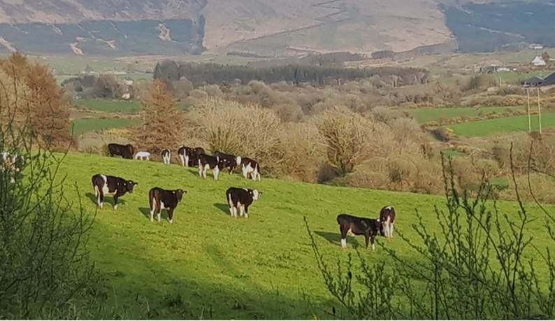 Exciting #PhD opportunity to research #nutrientmanagement of agricultural #soils using data driven techniques to contribute to #sustainability @MaynoothUni @teagasc #TeagascJC teagasc.ie/media/website/…