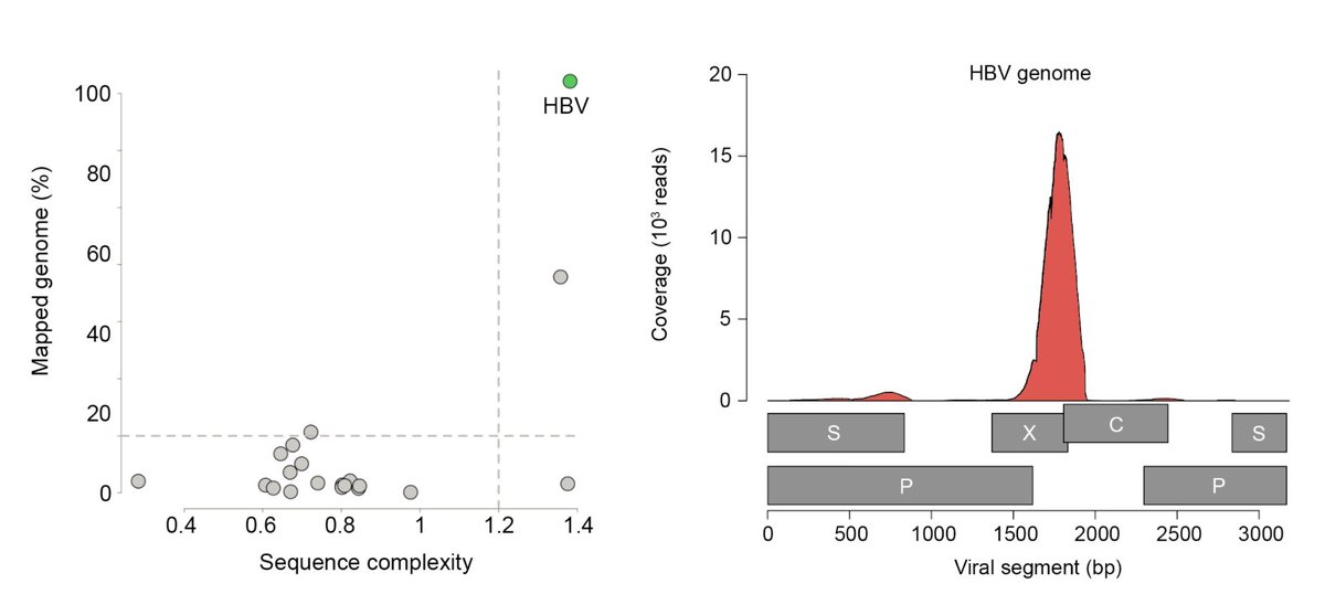 Viral-Track was benchmarked and validated on multiple mouse in-vivo infection models - including Influenza, LCMV and VSV infections - as well as on human HBV infection. 4/13
