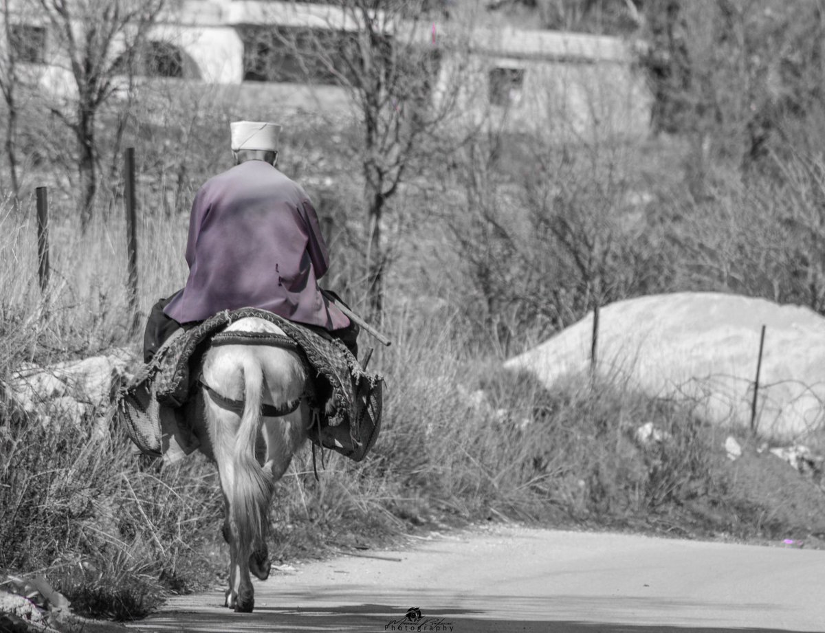 AuthenticShouf's tweet photo. Our villages still beautiful and authentic.
#authenticshouf
#shoufbiospherereserve
Photos by @batlounii95 https://t.co/4VShgyfMsi