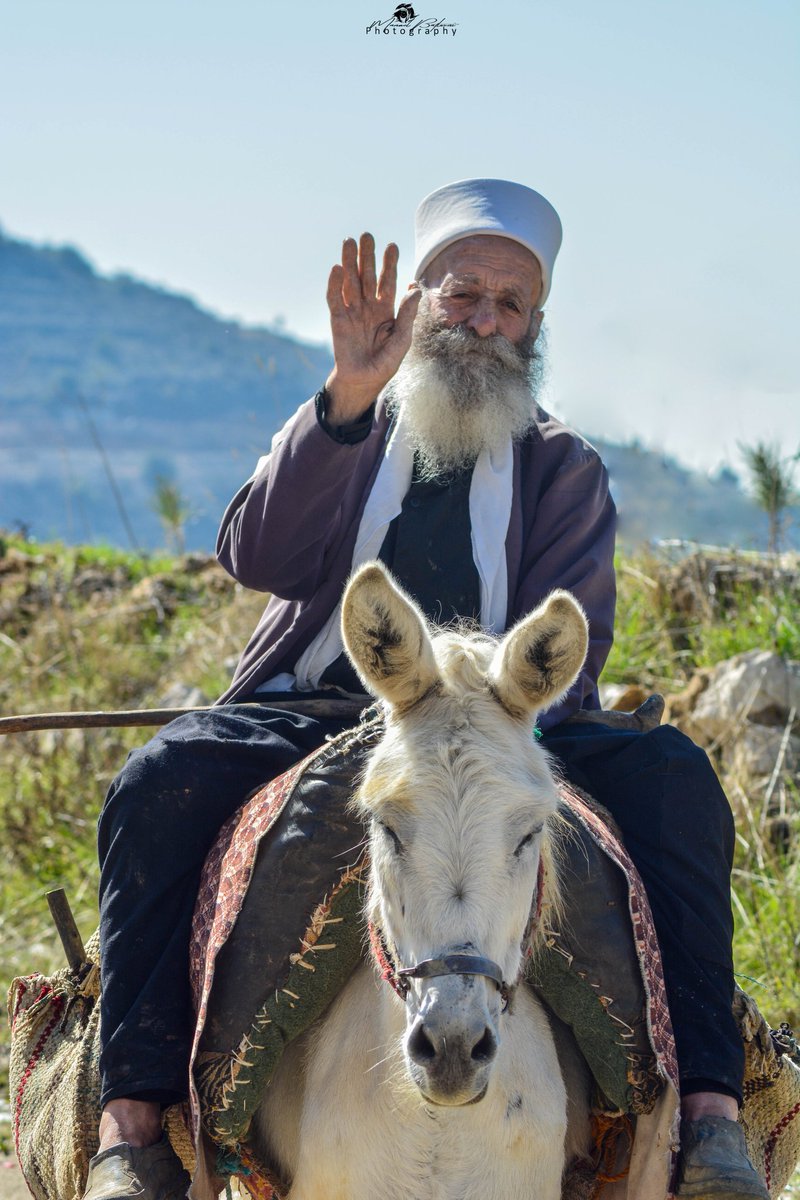 AuthenticShouf's tweet photo. Our villages still beautiful and authentic.
#authenticshouf
#shoufbiospherereserve
Photos by @batlounii95 https://t.co/4VShgyfMsi
