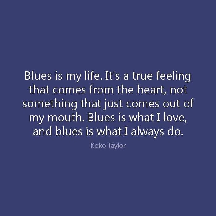 Step Aside Blues Band tweet media