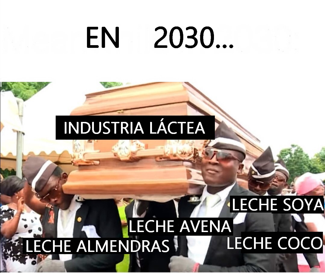 Events4Animals's tweet image. En 2030 la industria láctea será cosa del pasado por la fuerza con la que están entrando en el mercado las bebidas vegetales. Además de la oferta de quesos y otros productos vegetales

Muchas personas van a tener que buscar trabajos honrados. 

Son alguien, no algo. 
Go Vegan.