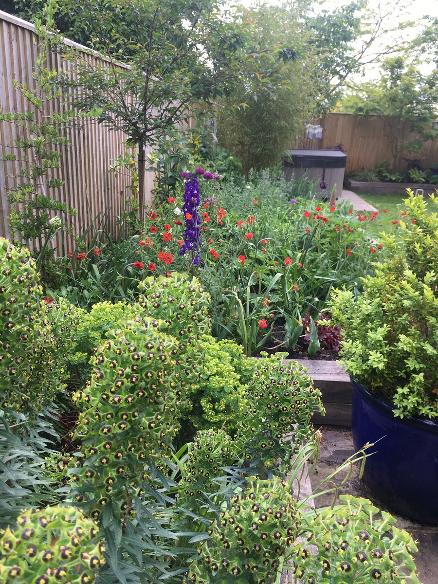 CREducATE's tweet photo. I am also feeling the love for my herbaceous border. #PhotoDocMyBorder on VE Day, 8th May 2020. Inspired mainly by @SissinghurstNT @nationaltrust https://t.co/yMsLYXsym1