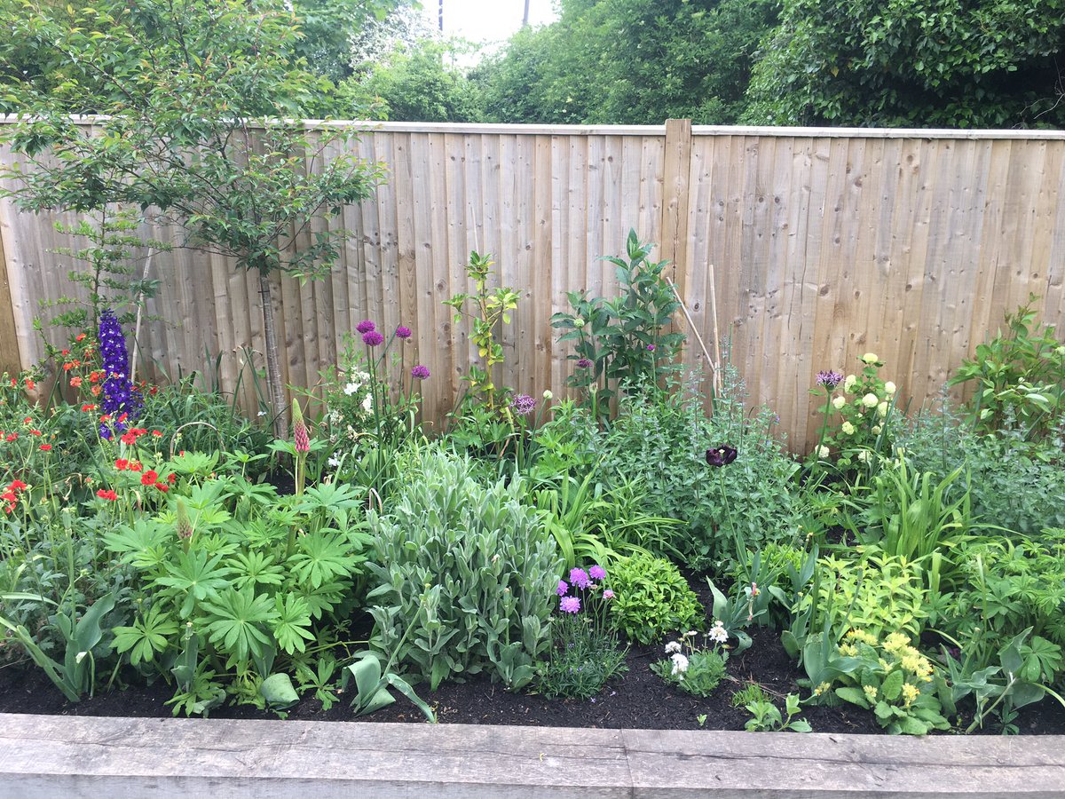 CREducATE's tweet photo. I am also feeling the love for my herbaceous border. #PhotoDocMyBorder on VE Day, 8th May 2020. Inspired mainly by @SissinghurstNT @nationaltrust https://t.co/yMsLYXsym1
