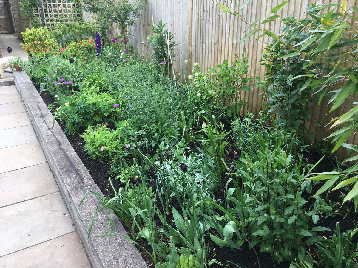 CREducATE's tweet photo. I am also feeling the love for my herbaceous border. #PhotoDocMyBorder on VE Day, 8th May 2020. Inspired mainly by @SissinghurstNT @nationaltrust https://t.co/yMsLYXsym1